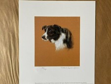Dog Art Border Collie Ltd Ed  Print Collie Study by Debbie Gillingham