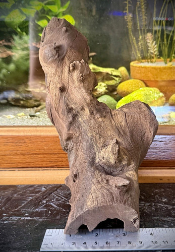 Aquarium driftwood 20cm - aquarium,
