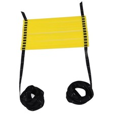 Agile Ladder Football Step