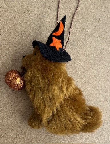 Chow halloween witch with - chow,