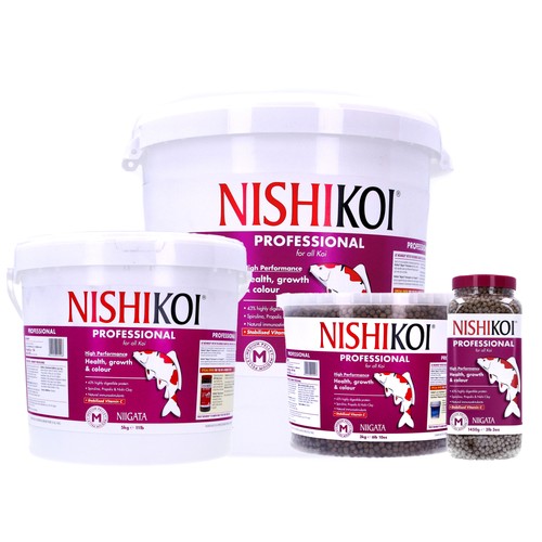 Nishikoi niigata professional - nishikoi,