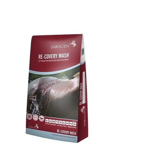 Saracen covery mash horse - saracen, re-covery