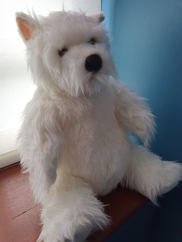 West highland terrier teddy - terrier,