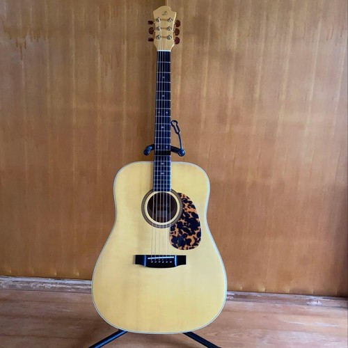 Landola electric acoustic - electric,