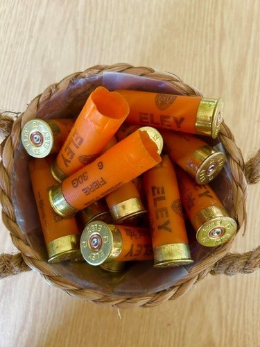 Spent shotgun cartridge cases - shotgun,