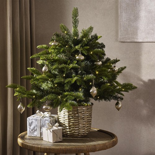 The white company 3ft - white, pre-lit