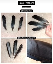 Crow Feathers - corvid shaman pagan witch nature goth
