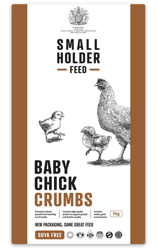Allen page baby chick - allen,