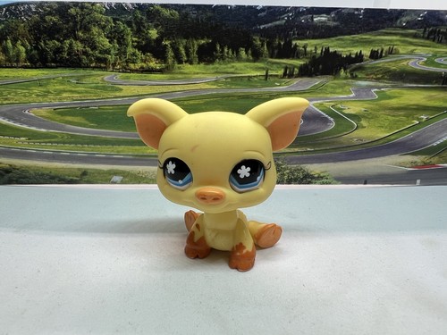 Littlest pet shop 475 - littlest,