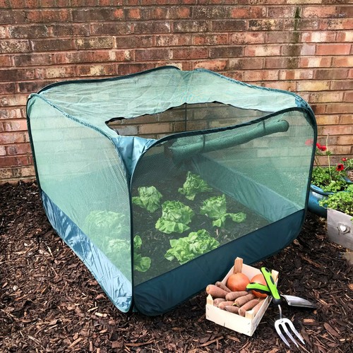 Garden plant pop net - plant,