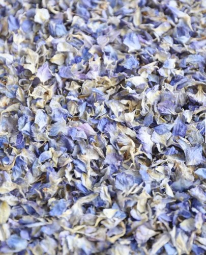 Blue confetti natural flower - natural,