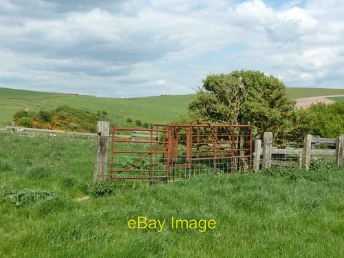 Photo 6x4 derelict - 6x4, cattle