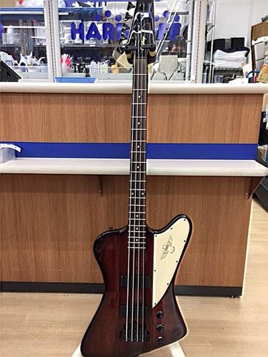 Epiphone thunder bird - bird, electric