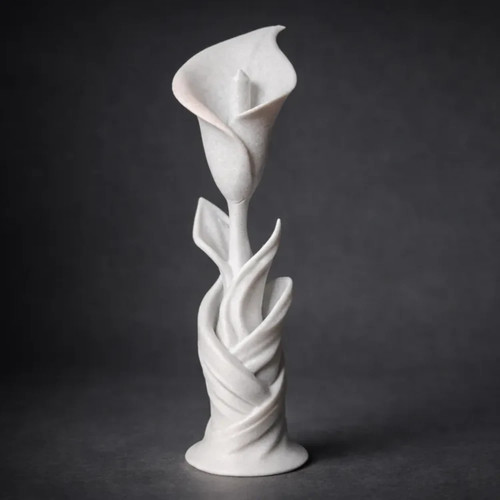 Elegant calla lily - calla,