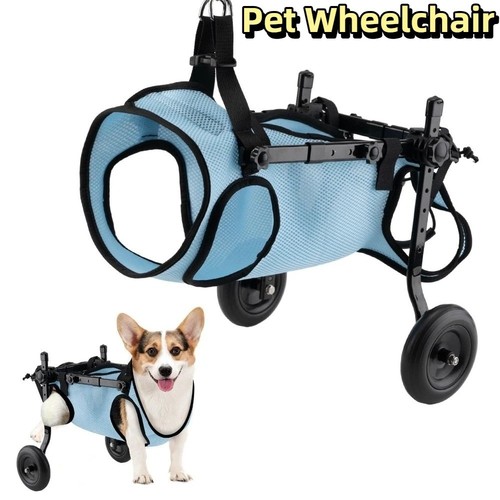 Adjustable dog wheelchair - dog,