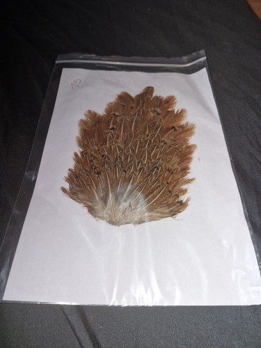 Large saddle hen hackles - large,