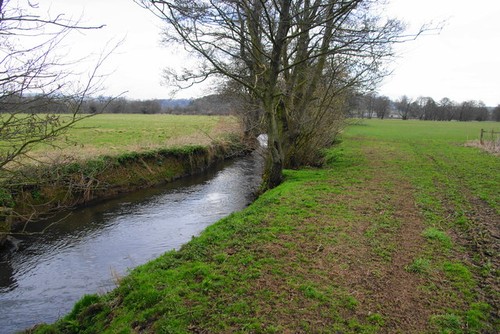 Photo bentley brook - bentley,