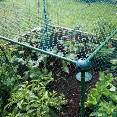 875m high fruit veg - 1.875m, cage