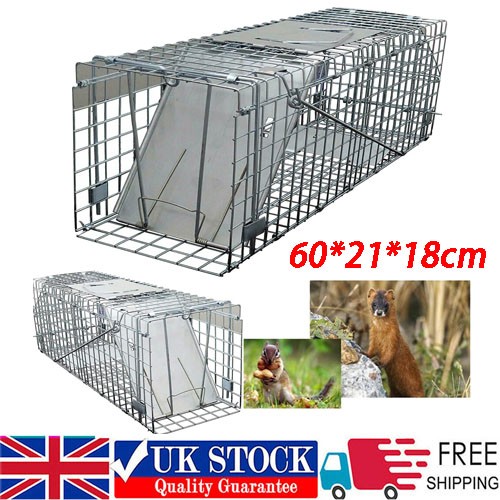 Extra large animal - trap, cage
