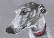 Original colour pencil artwork