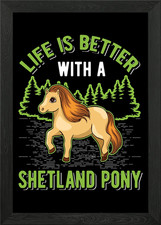 Shetland Pony Shetty Framed