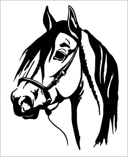 Horse large vinyl - , van