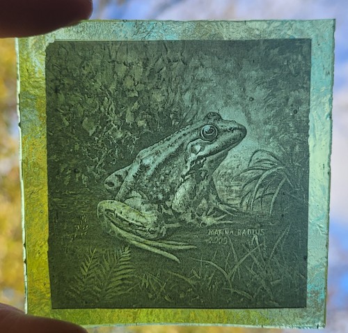 Stained glass frog - stained,