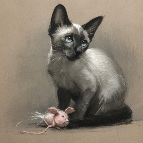 Siamese cat art - art, drawing