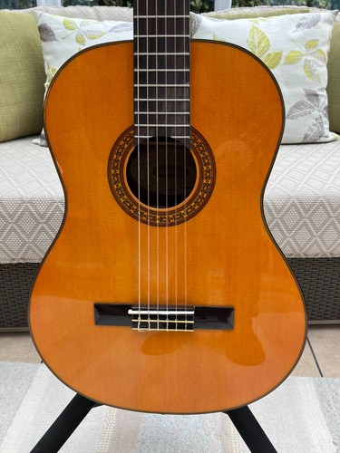Washburn classical guitar - classical,
