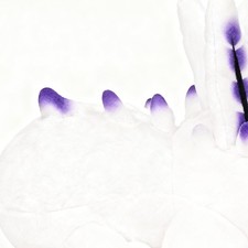 For Deep Sea Bunny Plushie Bunny Stuffed Animal Cute Toy Doll Gentle Outgoing