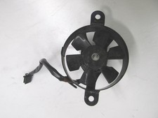 Honda 125 2007 - v, 2007-2010
