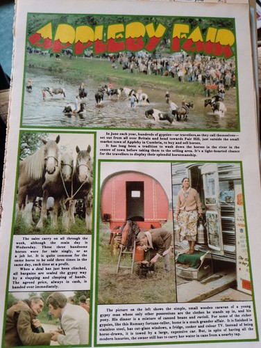 Sk315 ephemera 1984 article - sk315,