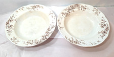 (2) JHW & Sons Hanley England - Woodland - 10" Semi-Porcelain Soup Bowls Brown