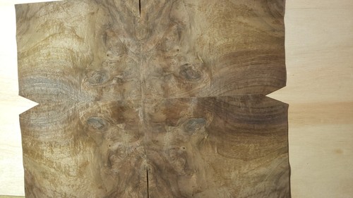 Walnut burr veneer 6 - -, sheets