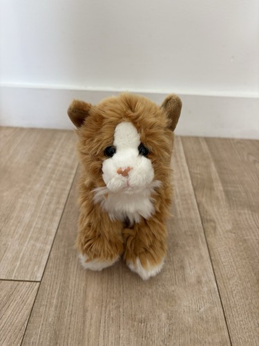 Soft sensations ginger cat - soft,