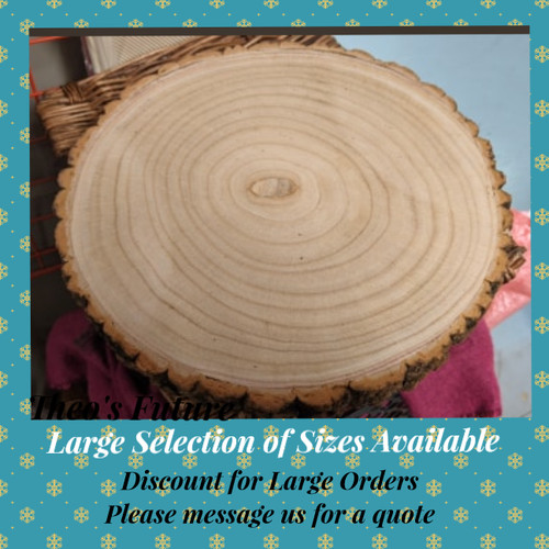 Natural wood log slice tree - wood,
