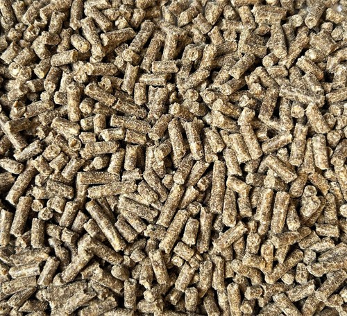 Bloodworm fish food pellets - fish,
