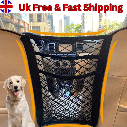 Pet dog car safety - dog,
