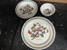 Portmeirion Botanic Garden  -