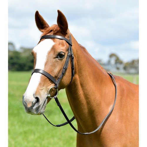 Kincade classic flat hunt - kincade,
