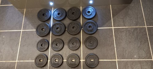 30kg york one inch - york,