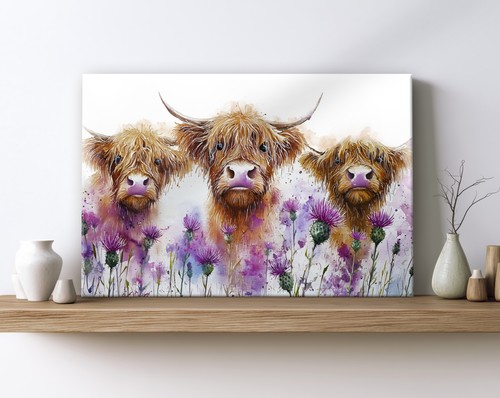 Highland cow thistle - highland, flowers
