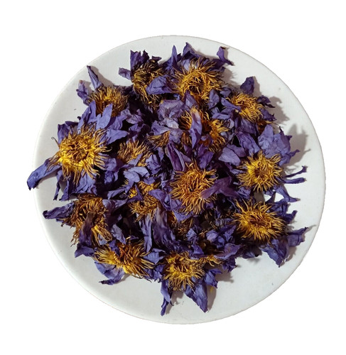 Egyptian blue lotus flower - blue,