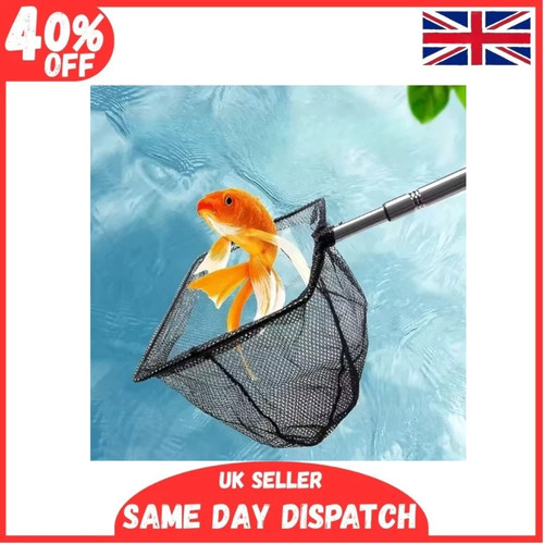 Pond net catch fish debris - net,