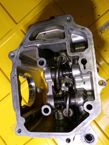 Honda ruckus nps50 cylinder - ruckus,
