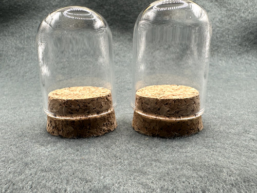 Glass display dome - glass, cork
