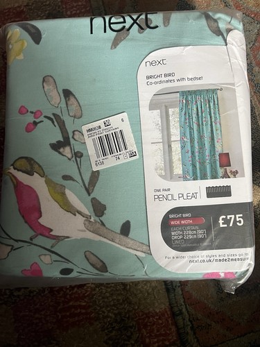 New next blue - bright, birds