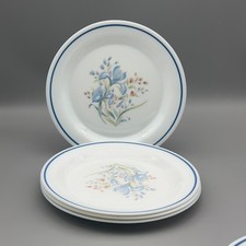 Pyrex Blue Iris Luncheon /
