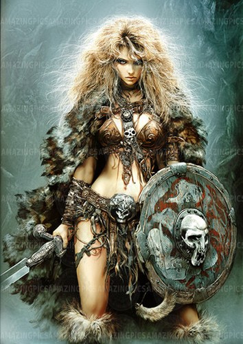 Norse shield maiden wall art - shield,