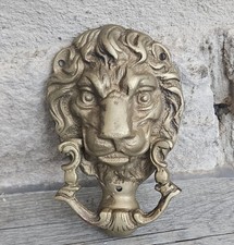 Vintage Brass Lions Head Door